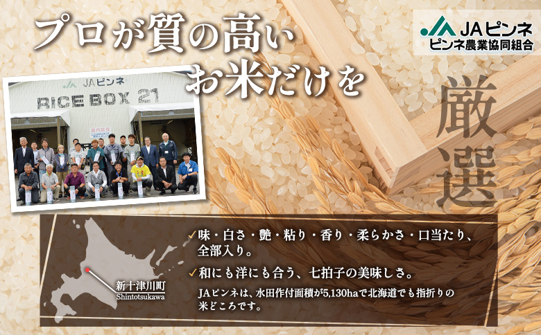 【令和7年度産】ななつぼし精米 食味ランキング「特A」（10kg）【1100407】 単品(10kg)