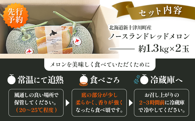 【先行予約】【数量限定】 赤肉メロン２玉【令和８年７月～８月上旬発送】【12031】