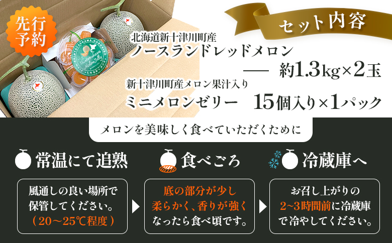 【数量限定】 赤肉メロン２玉・ミニメロンゼリーセット【令和8年７月～８月上旬発送】【1201706】