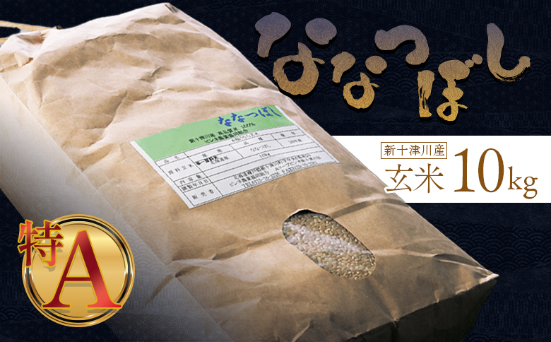 【令和7年度産】ななつぼし玄米 食味ランキング「特A」(10kg)【1101007】