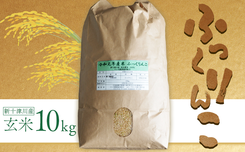 【令和7年度産】ふっくりんこ玄米 (10kg)【1101805】