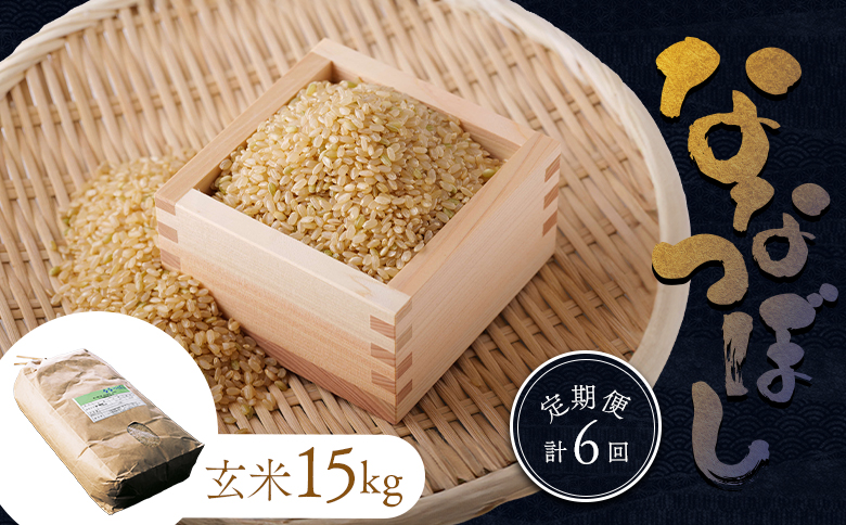 【令和7年度産】食味ランキング「特A」ななつぼし玄米定期便(15kg×6回)【隔月でお届け】【1101105】