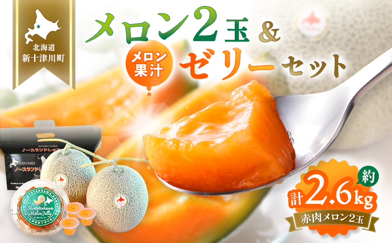 【数量限定】 赤肉メロン２玉・ミニメロンゼリーセット【令和8年７月～８月上旬発送】【1201706】