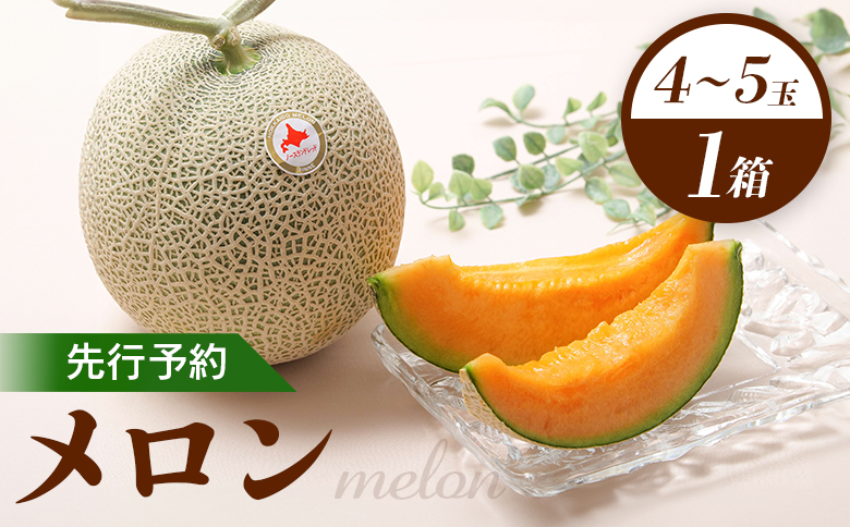 【先行予約】 赤肉メロン1箱（4～5玉） 【令和8年7月～8月上旬発送】【1201801】