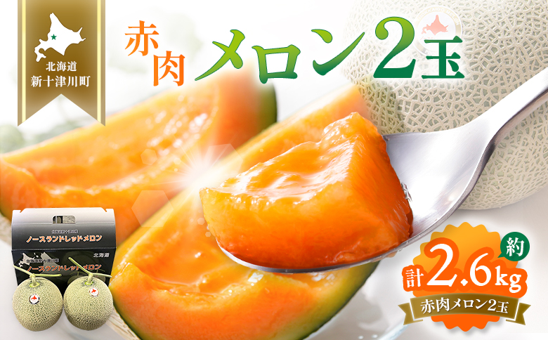 【先行予約】【数量限定】 赤肉メロン２玉【令和８年７月～８月上旬発送】【12031】