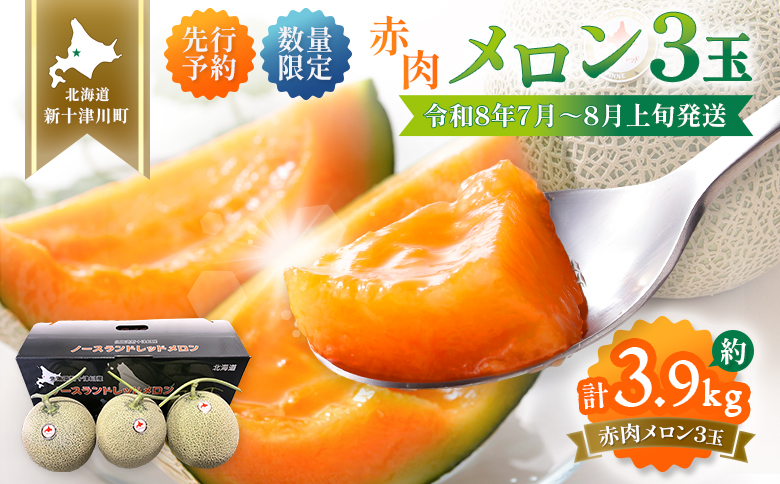 【先行予約】【数量限定】 赤肉メロン3玉【令和８年７月～８月上旬発送】【12032】