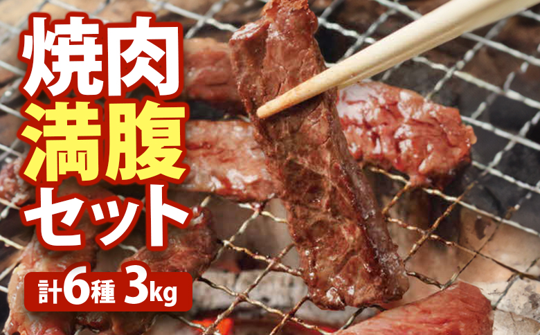 大畠精肉店の焼肉満腹セット（計6種3kg）【1301102】