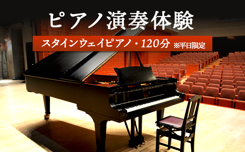 スタインウェイピアノ試弾券（120分）　※平日限定（午前９時～午後９時）【2100101】