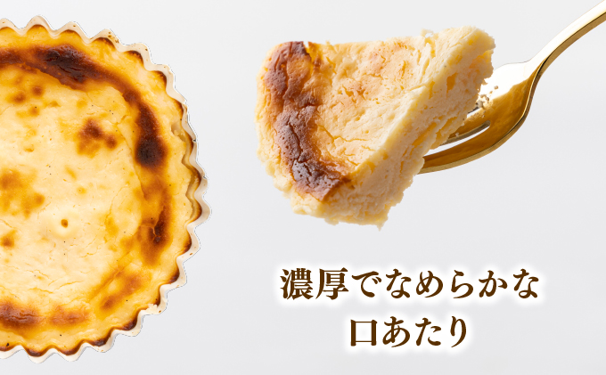 大黒屋菓子舗の濃厚バスクチーズケーキ AB002