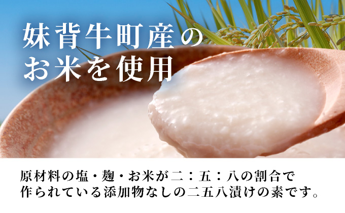 U001浅漬けの素「米子ちゃん」レシピ付き