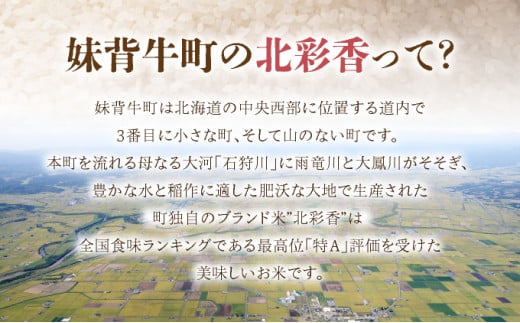 2026年2月発送 令和7年産 ゆめぴりか 白米 20kg 一括発送 【北彩香】 令和8年2月【一括発送】