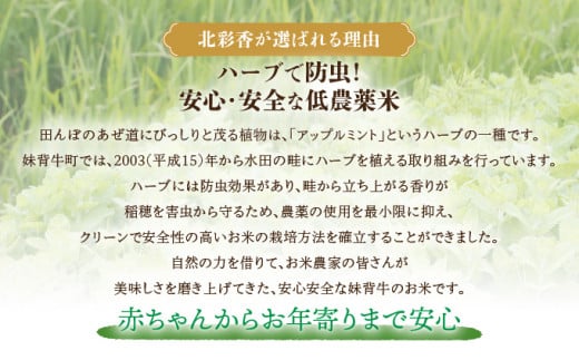 令和7年産 妹背牛産新米【北彩香（ゆめぴりか）】玄米10kg 2026年7月発送 令和8年7月【一括発送】