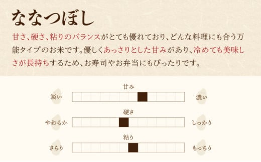 2026年3月発送 令和7年産 ななつぼし 白米 20kg (真空パック) 一括発送 【プレミアム北彩香】 一括　令和8年3月発送