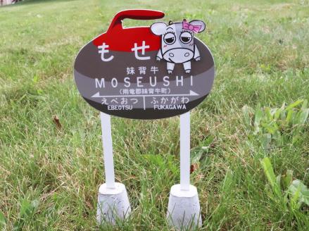 Y001 カーリング型駅名案内板グッズ