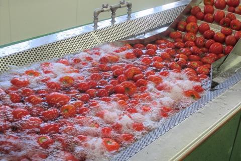 「無塩」あかずきんちゃん 1,000ml×3本 朝もぎ完熟トマトジュース