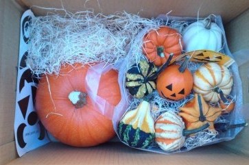 ハロウィン用おもちゃかぼちゃ