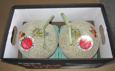 【受付中】令和7年産 赤肉メロン2玉