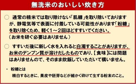 【先行受付】令和7年産 無洗米ななつぼし5kg&無洗米ゆめぴりか5kg