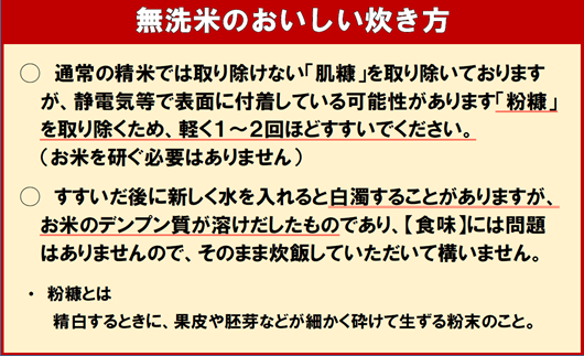 【新米予約受付中】令和8年産 無洗米ななつぼし(10kg)