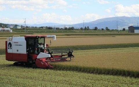 【先行受付】令和7年産 ななつぼし定期便40kg(隔月10kg×4か月)