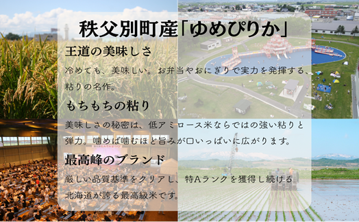 【新米予約受付中】令和8年産 無洗米ななつぼし5kg&無洗米ゆめぴりか5kg