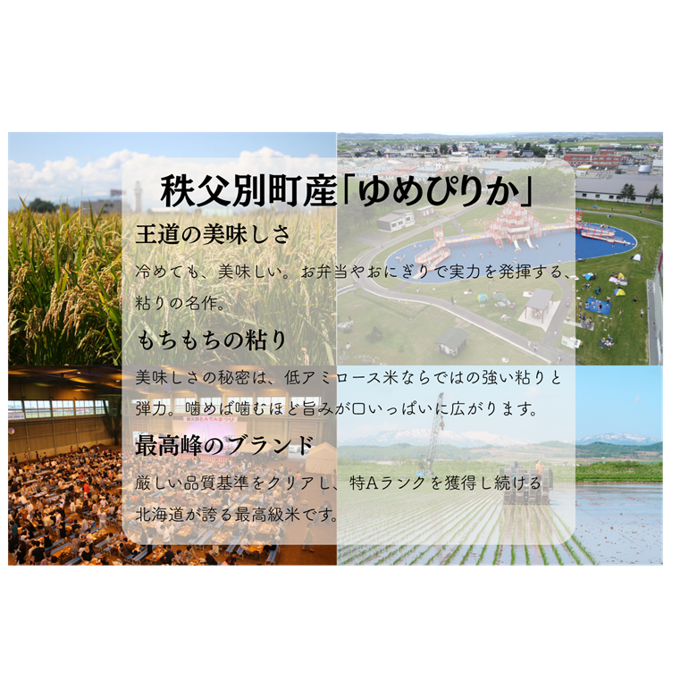 【新米予約受付中】令和8年産 ななつぼし&ゆめぴりか定期便40kg(隔月発送)