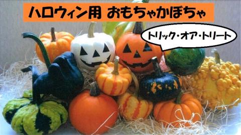 ハロウィン用おもちゃかぼちゃ