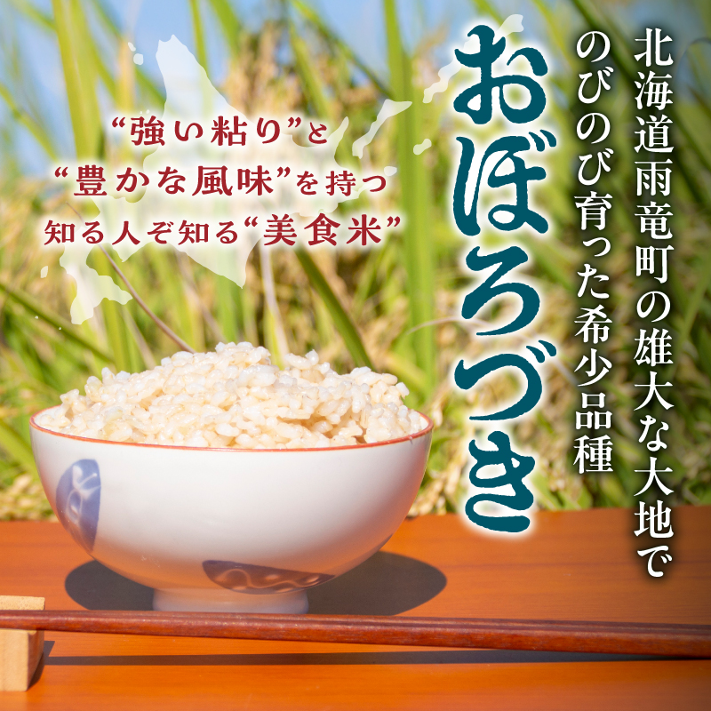 【最短4～7営業日発送】令和7年産 川越さんちの おぼろづき 玄米 5kg (5kg×1袋) 雨竜産 おぼろづき 玄米 5kg お米 おにぎり お弁当 お取り寄せ 北海道 雨竜町