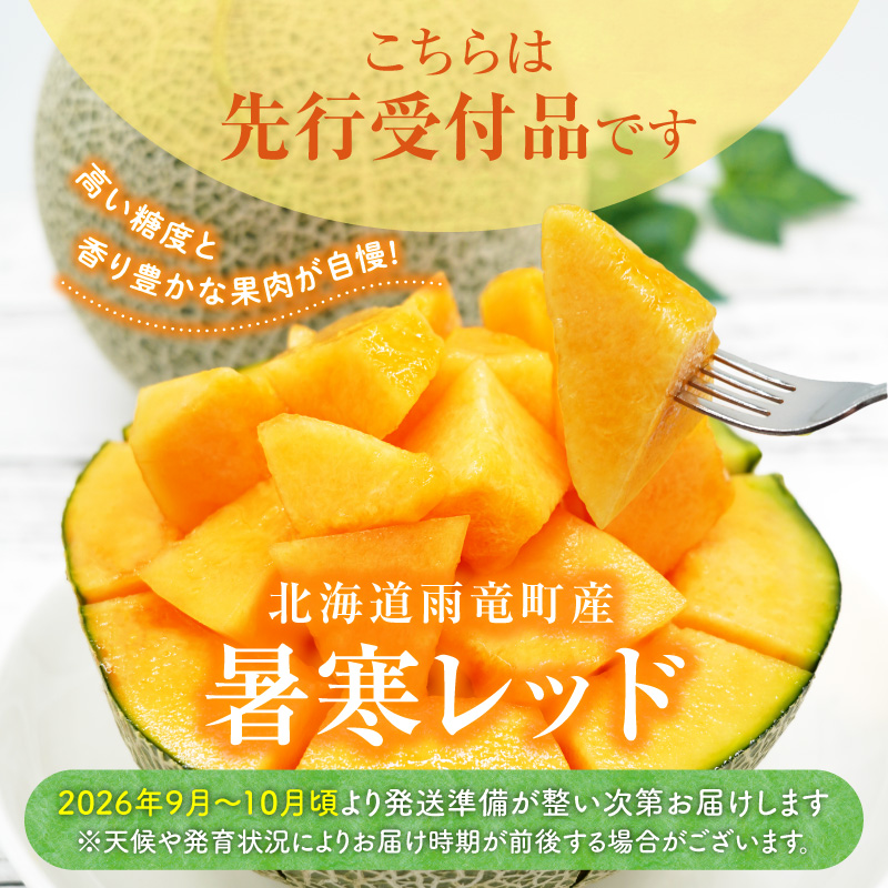 【令和8年産先行予約】北海道メロン 暑寒レッド 1玉 (1.6kg以上×1箱)《2026年9月より発送予定》