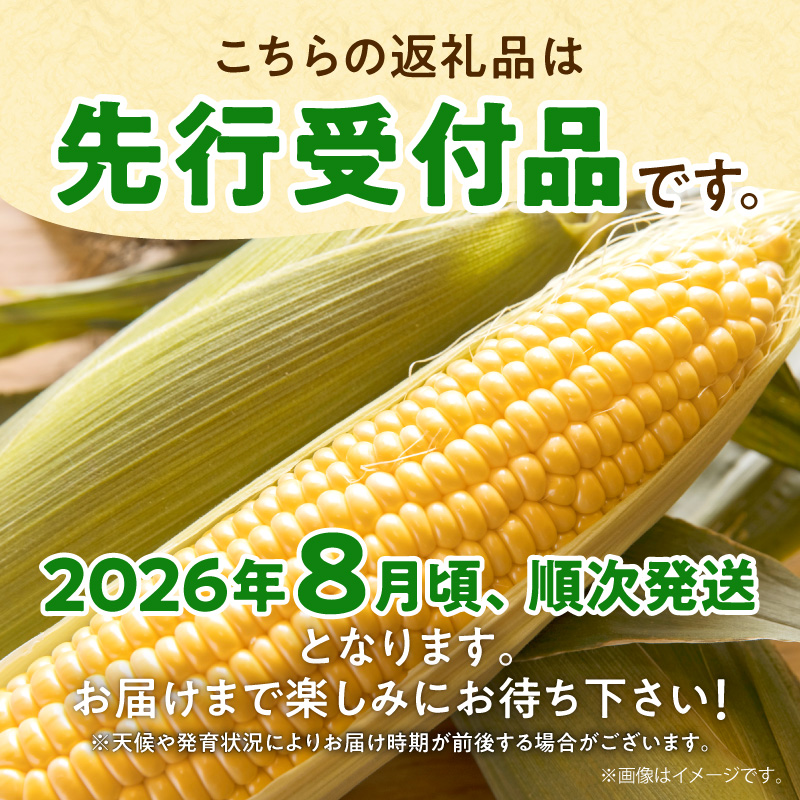 【令和8年産先行受付】生でも美味しい！ とうもろこし 「 サニーショコラ 」 10本（Lサイズ）【配送不可地域：沖縄・離島】