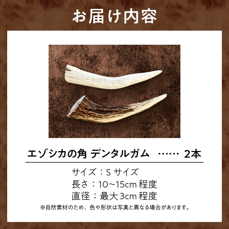 【数量限定】エゾシカの角 デンタルガム Sサイズ