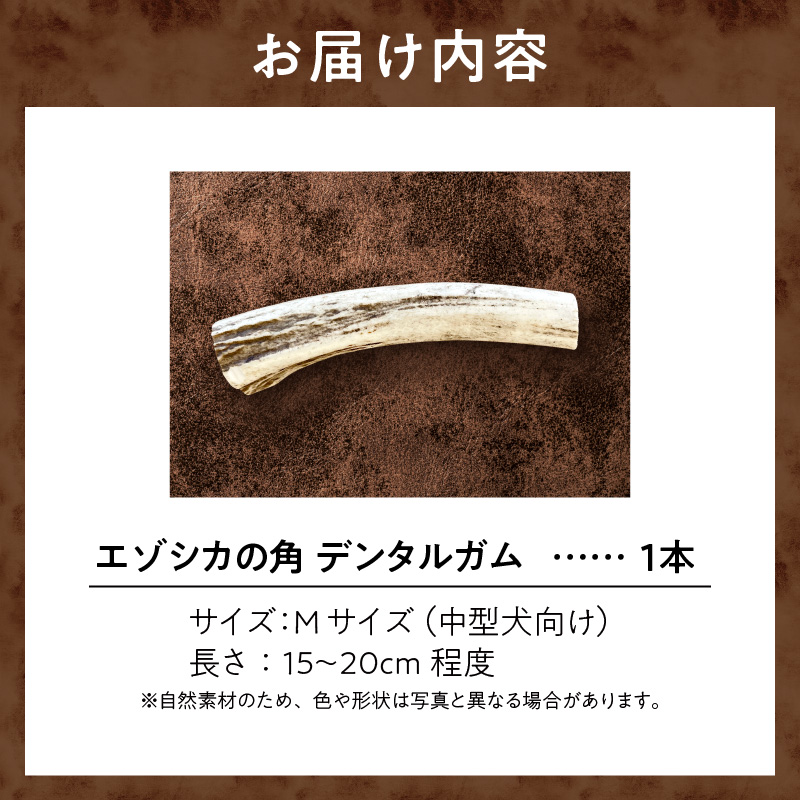 【数量限定】エゾシカの角デンタルガムMサイズ（中型犬向け）