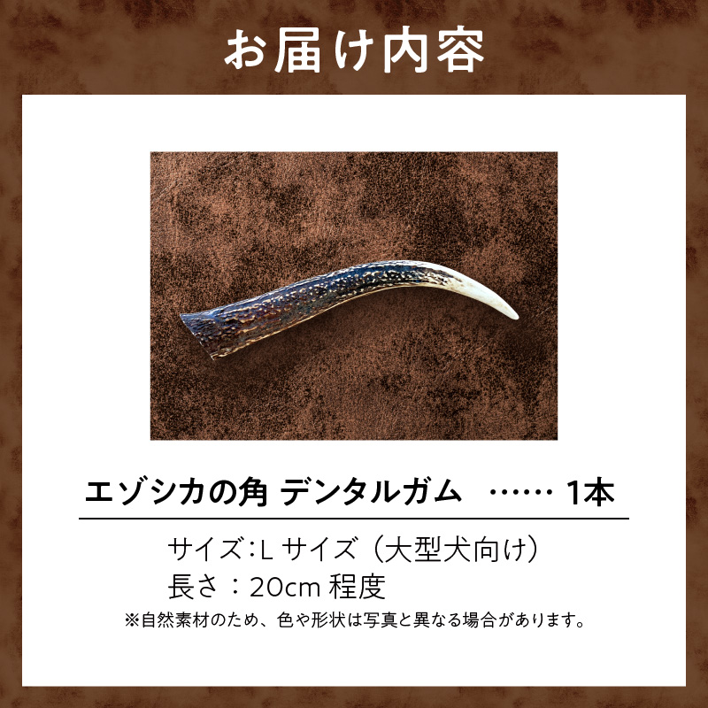 【数量限定】エゾシカの角デンタルガムLサイズ（大型犬向け）