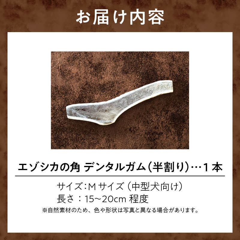 【数量限定】エゾシカの角 デンタルガム Mサイズ 半割1本（中型犬向け）