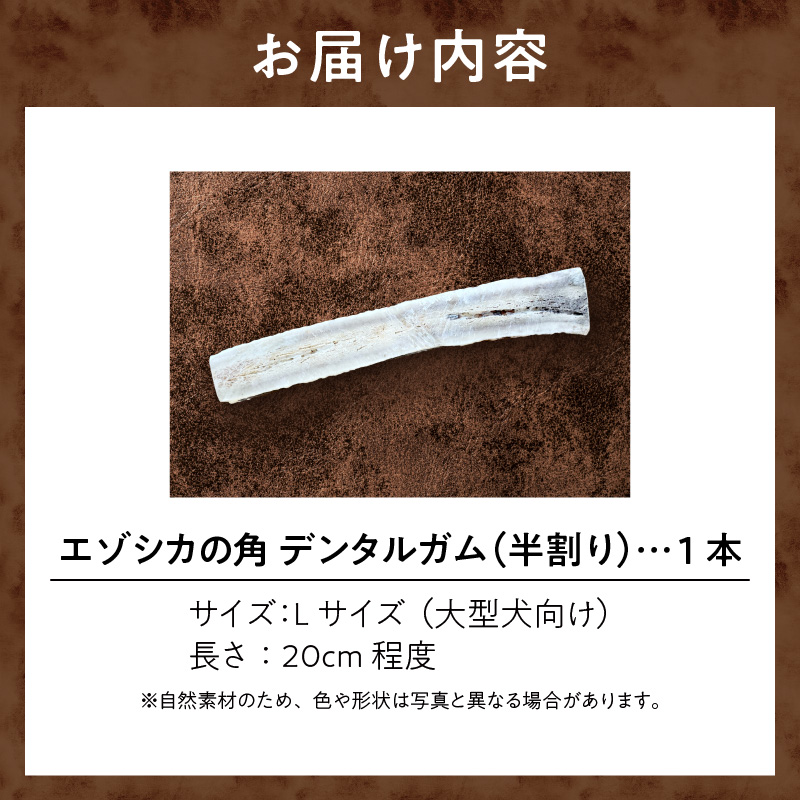 【数量限定】エゾシカの角 デンタルガム Lサイズ 半割1本（大型犬向け）