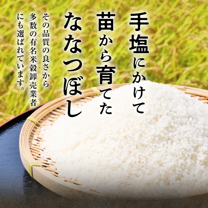 【お試しサイズ ！ 2合】 令和7年産 北海道産 ななつぼし 精米 300g (300g×1袋)