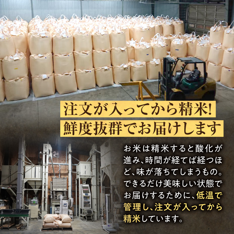 【新米予約】令和８年産【定期便全2回】 雨竜産 ななつぼし 精米 5kg（5kg×1袋） 特A 雨竜町 お米 米 厳選 人気 令和8年産 新米