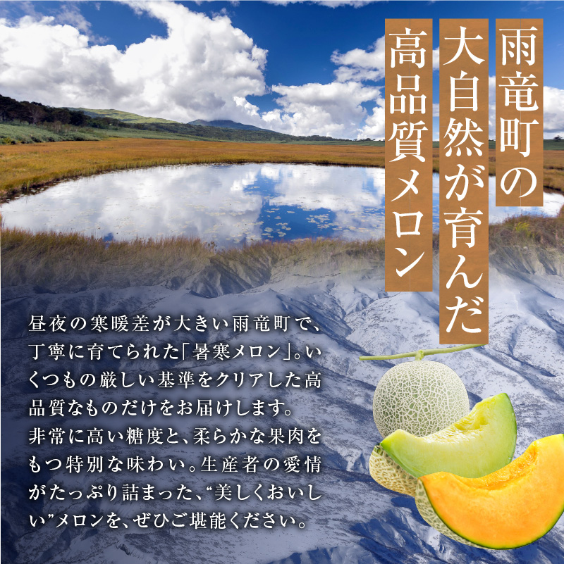 【令和8年産先行予約】北海道産 暑寒メロン 4～5玉 (8kg以上×1箱) 《2026年7月より発送予定》