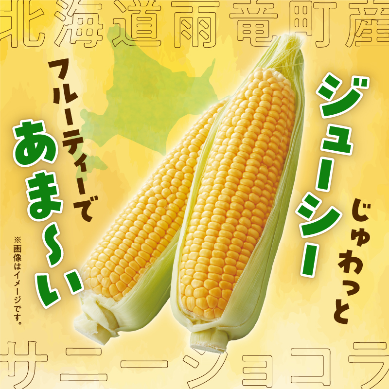 【令和8年産先行受付】生でも美味しい！ とうもろこし 「 サニーショコラ 」 10本（Lサイズ）【配送不可地域：沖縄・離島】