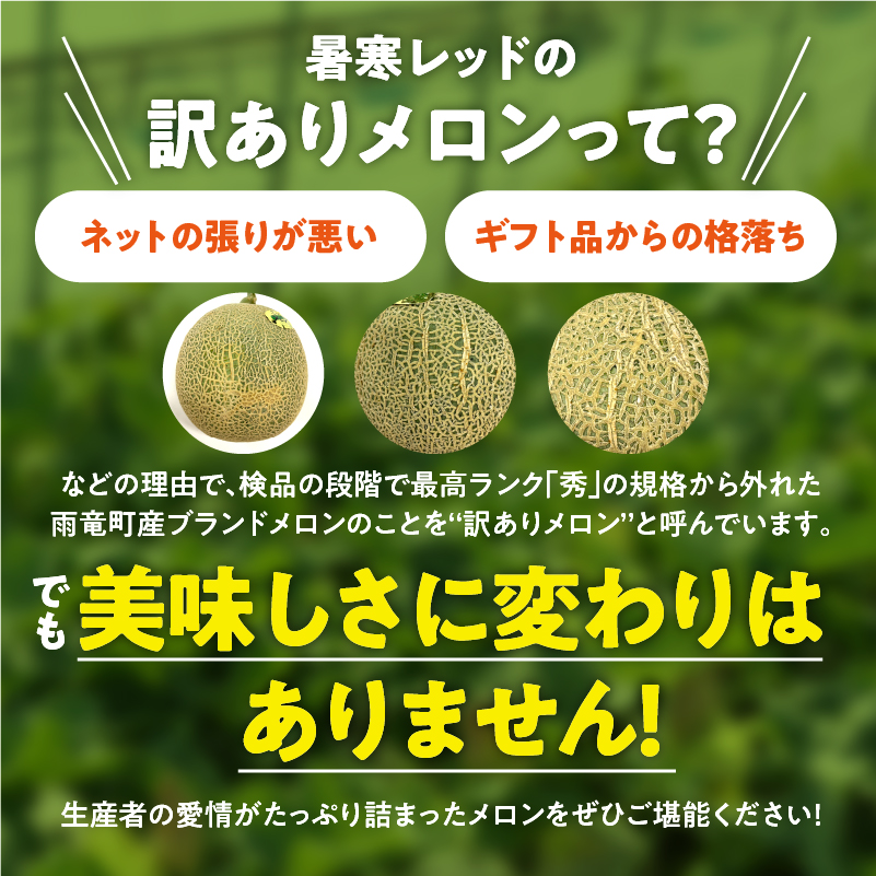 【令和8年産先行予約】【訳あり】北海道メロン 暑寒レッド 1玉 (1.6kg以上×1箱)《2026年9月より発送予定》ワケあり 家庭用 赤肉メロン わけあり 規格外 傷 不揃い くだもの フルーツ メロン めろん 9月 北海道 雨竜町