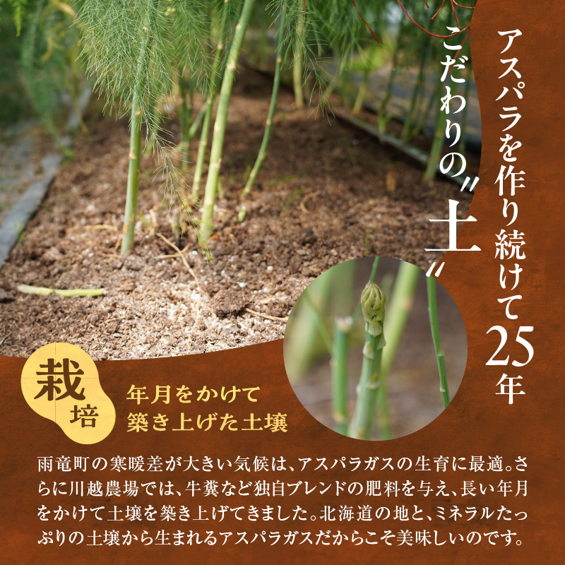 【先行受付】令和8年産 朝採りグリーンアスパラ 1kg＜ 川越農場 ＞野菜 春 夏 北海道アスパラ 雨竜町産 パスタ サラダ スープ 旬 やわ旨