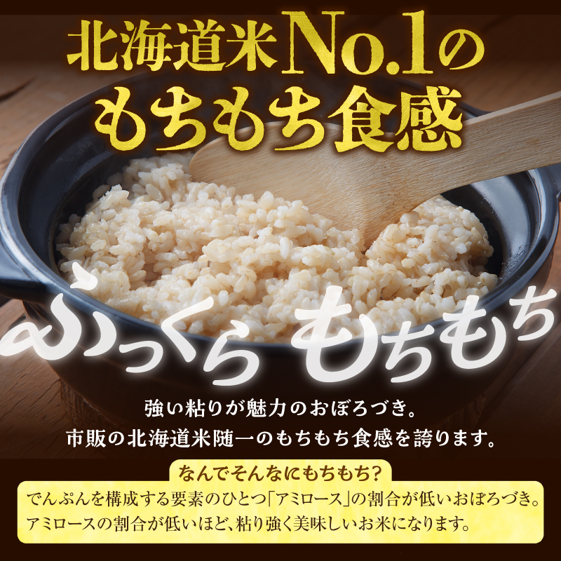 令和7年産 川越さんちの おぼろづき 玄米 5kg (5kg×1袋) 雨竜産 おぼろづき 玄米 5kg お米 おにぎり お弁当 お取り寄せ 北海道 雨竜町