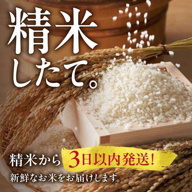【7月配送】うりゅう米 ななつぼし 10kg（5kg×2袋） 【7月配送】 精米10kg