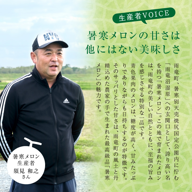 【令和8年産先行予約】北海道産 暑寒メロン 4～5玉 (8kg以上×1箱) 《2026年7月より発送予定》