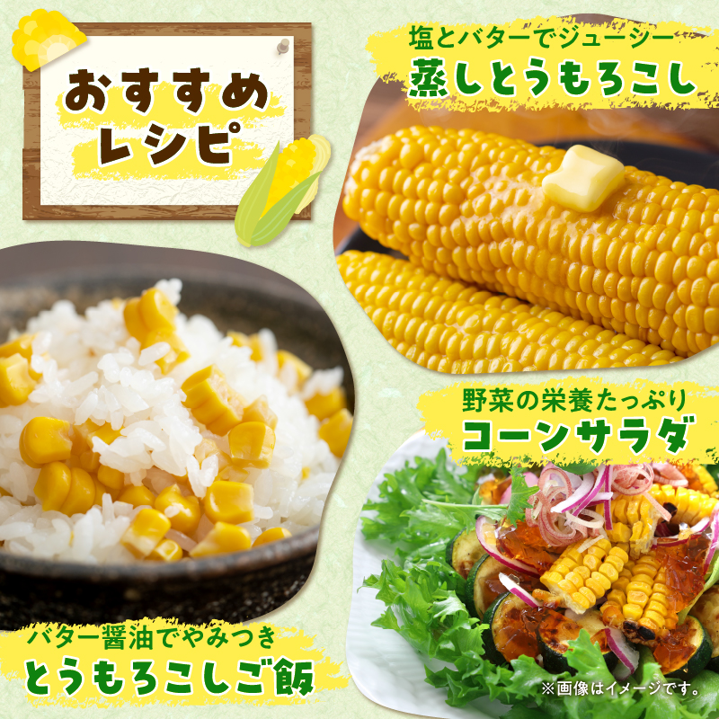 【令和8年産先行受付】生でも美味しい！ とうもろこし 「 サニーショコラ 」 10本（Lサイズ）【配送不可地域：沖縄・離島】
