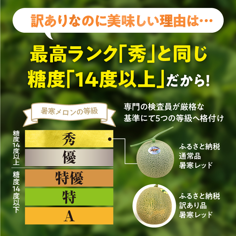 【令和8年産先行予約】【訳あり】北海道メロン 暑寒レッド 2玉 (3.2kg以上×1箱)《2026年9月より発送予定》ワケあり 家庭用 赤肉メロン わけあり 規格外 傷 不揃い くだもの フルーツ メロン めろん 9月 北海道 雨竜町