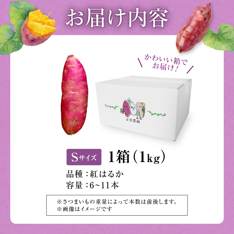【数量限定】なまら甘い！北海道雨竜町産 さつまいも 「紅はるか」 Sサイズ 1kg 小さめサイズ 産地直送 さつまいも サツマイモ 北海道 国産 おやつ お菓子作り 料理