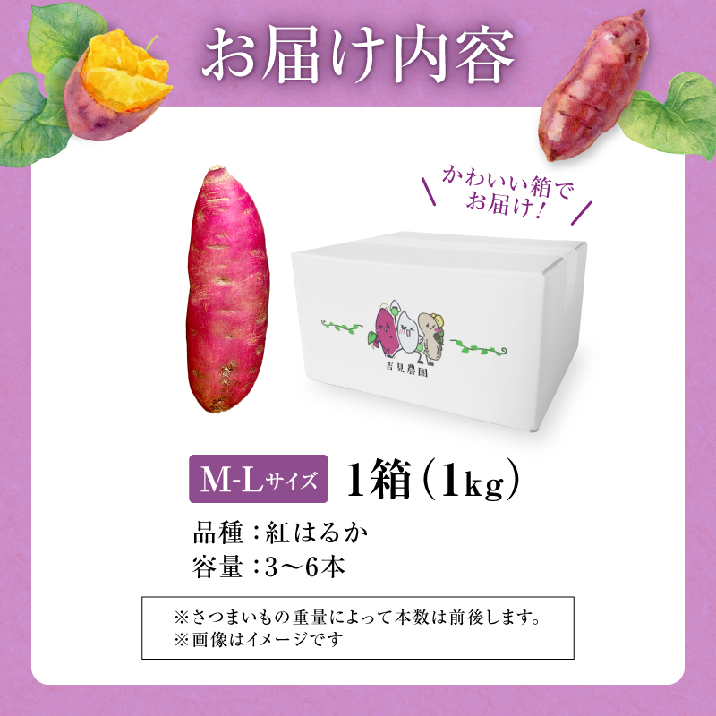 【数量限定】なまら甘い！北海道雨竜町産 さつまいも 「紅はるか」  Ｍ-Ｌサイズ 1kg 大きめサイズ 産地直送 さつまいも サツマイモ 北海道 国産 おやつ お菓子作り 料理