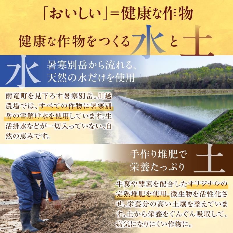 令和7年産 川越さんちの おぼろづき 玄米 5kg (5kg×1袋) 雨竜産 おぼろづき 玄米 5kg お米 おにぎり お弁当 お取り寄せ 北海道 雨竜町