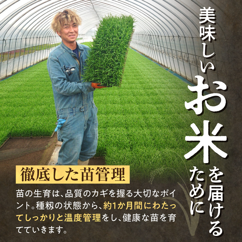 【新米予約】令和８年産【定期便全2回】 雨竜産 ななつぼし 精米 5kg（5kg×1袋） 特A 雨竜町 お米 米 厳選 人気 令和8年産 新米